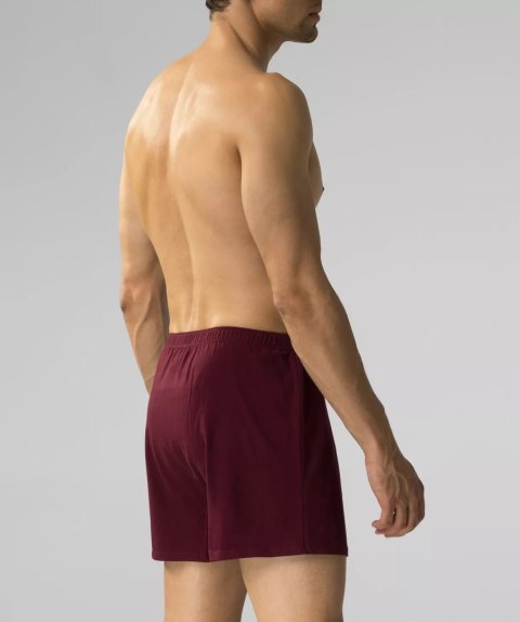 BOKSERKI ATLANTIC 2MBX-054 WL25 CAB/GRA