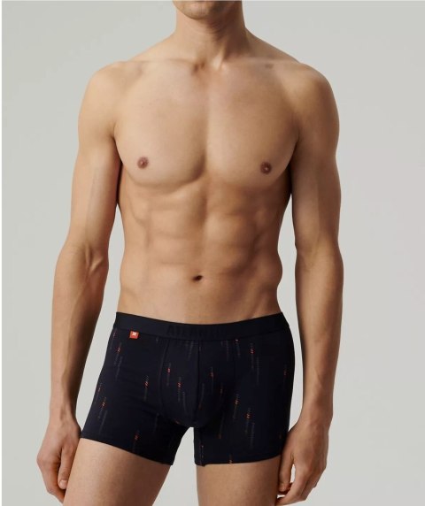 SZORTY ATLANTIC 3MH-210 WL25 GRA/ZIE/GRA