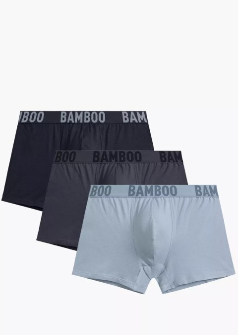 SZORTY ATLANTIC 3MH-215 WL25 GRA/NIE/GRF