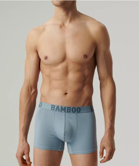 SZORTY ATLANTIC 3MH-215 WL25 GRA/NIE/GRF