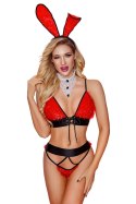 BUNNY OUTFIT 5 PCS ROUG