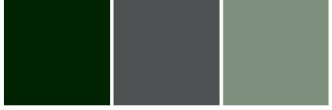 SLIPY HENDERSON 1446 CLASSIC K669