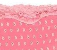 FIGI ATLANTIC LP-2177