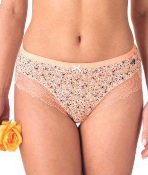 FIGI KEY LPC-503 B23