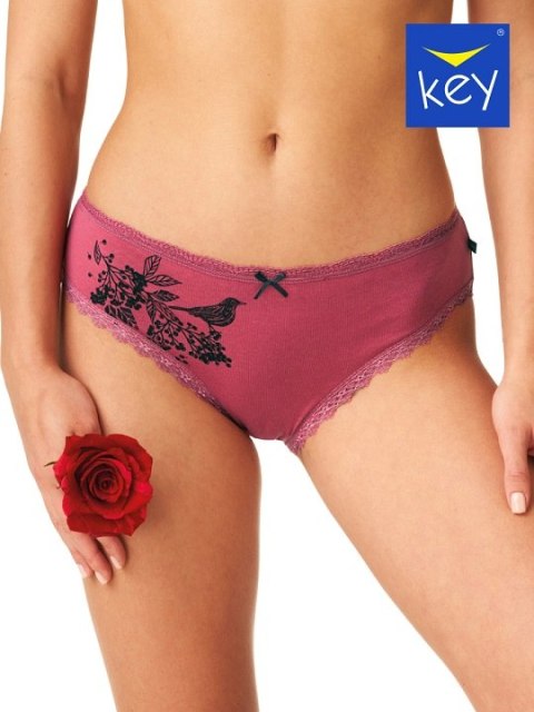 FIGI KEY LPC-785 B24