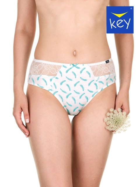 FIGI KEY LPC-971 A22