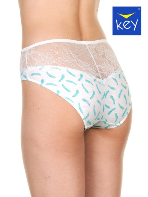 FIGI KEY LPC-971 A22