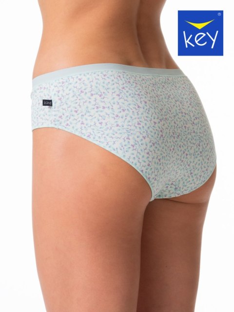 FIGI KEY LPN-506 A24