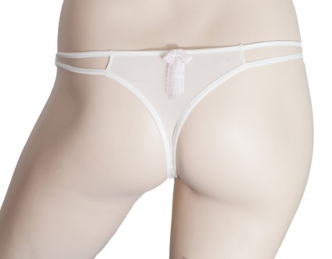 FIGI SAWREN WYNNE STRingi