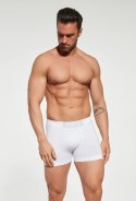 SZORTY GATTA BOXER COTTON BIA