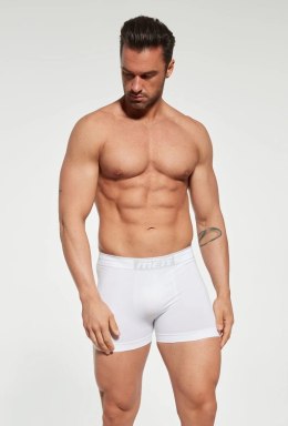 SZORTY GATTA BOXER COTTON BIA