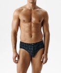 SLIPY ATLANTIC 3MP-216 WL26 GRA/GRA/DEN