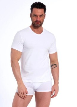 KOSZULKA CORNETTE AU-201 BIA