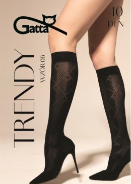 PODKOLANÓWKI GATTA TRENDYLINE KNEE SOCKS 40 WZ 06