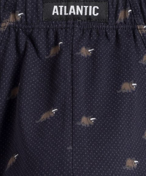 SLIPY ATLANTIC 3MP-167 WL24