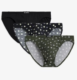 SLIPY ATLANTIC 3MP-170 WL24