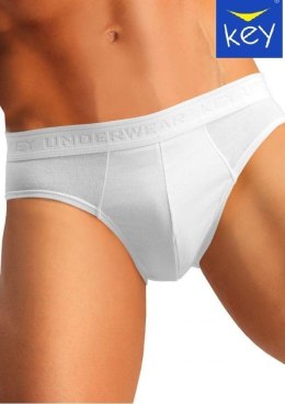 SLIPY KEY MPP-017 BIA